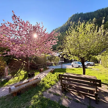 Dolomites Soundscape - Birds River Snow Bus Bike Hike 아파트 알레게